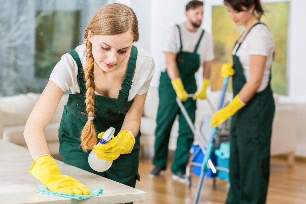 move-in cleaning service