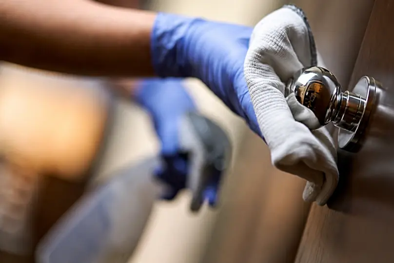 Same-Day House Cleaning Services in Florida: Help When Cleaning Can’t Wait