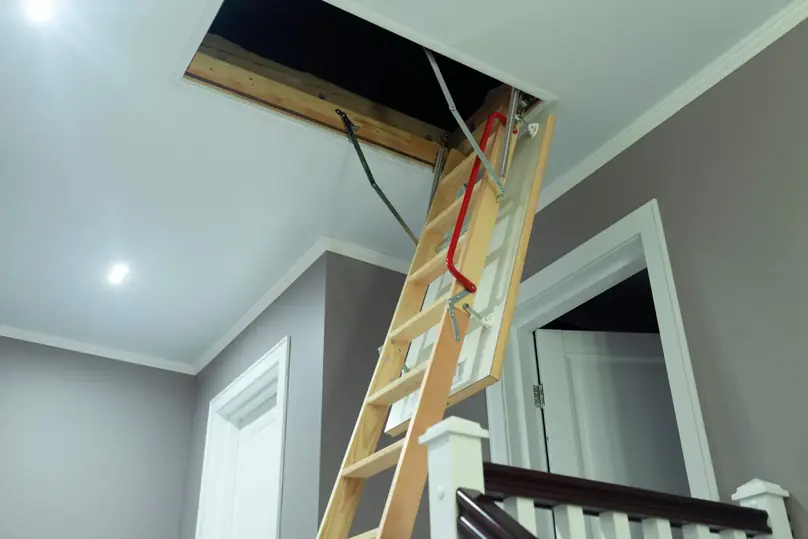 Attic Cleaning in South Florida: A Safe Step-by-Step Guide