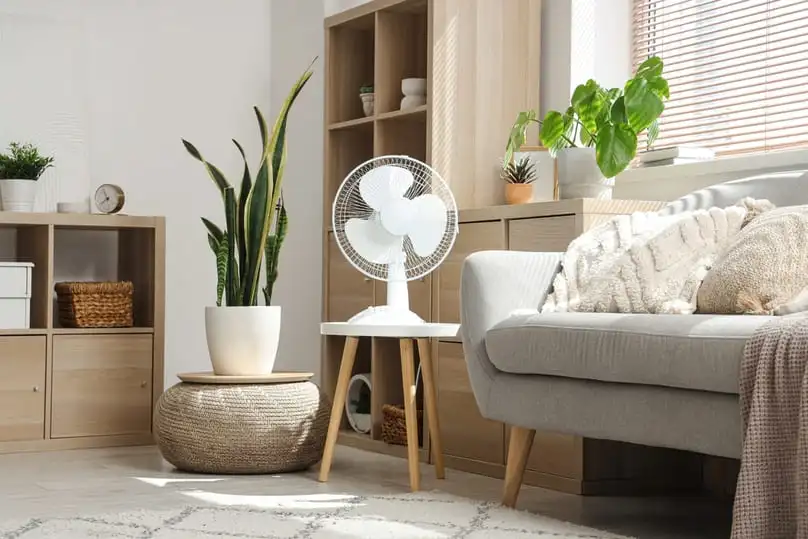 How to Clean the Electric Fan: Complete Guide for Miami Homes