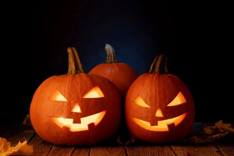 Three illuminated, carved jack-o'-lanterns on a wooden table, anticipating how to remove pumpkin stain.