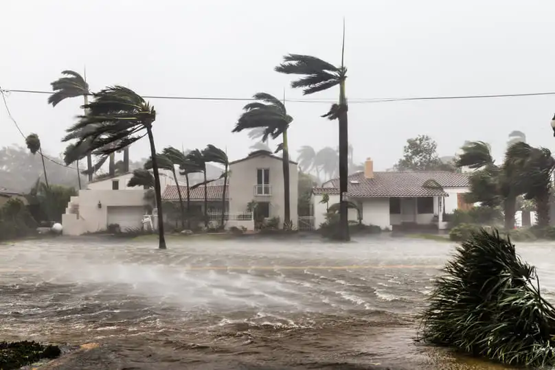 Palm trees bent by extreme wind and heavy street flooding during a hurricane, needing storm cleanup.