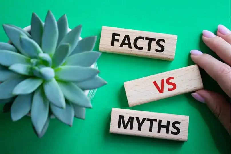 Facts vs myths blocks on a table, explaining common cleaning myths and the truth behind them.