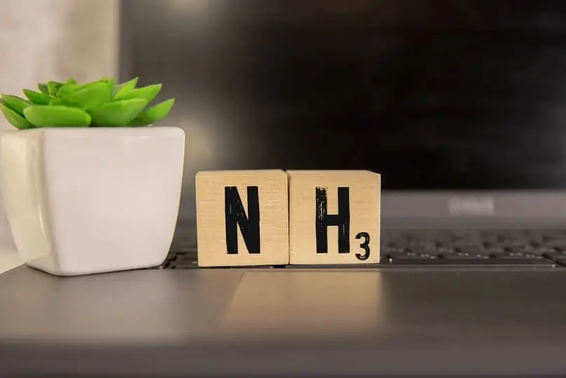 Ammonia and Cleaning: Safe and Effective Tips for West Palm Beach Homes