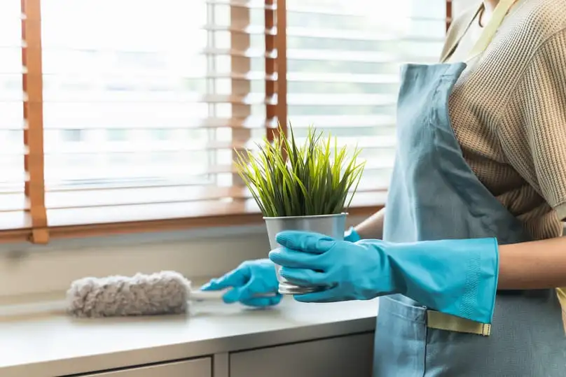A woman holding a green plant while wiping countertops to maintain her cleaning schedule