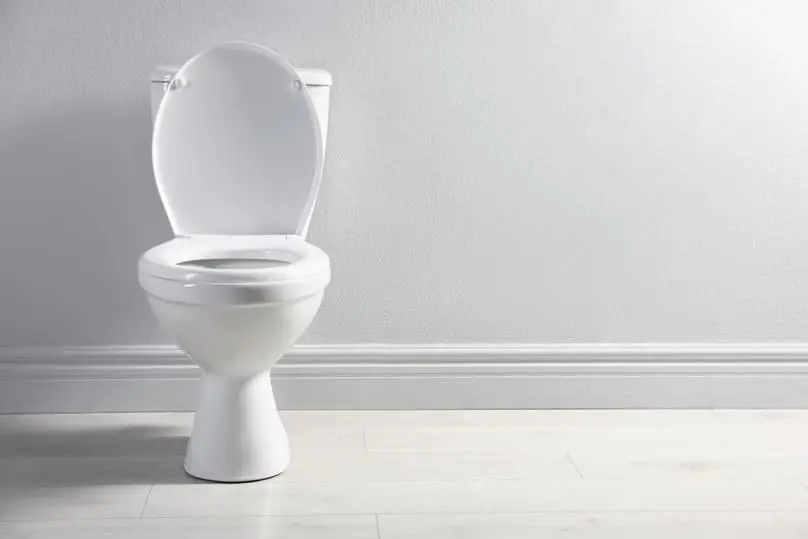 A bright, clean white toilet demonstrates the perfect outcome of how to clean toilet stains.