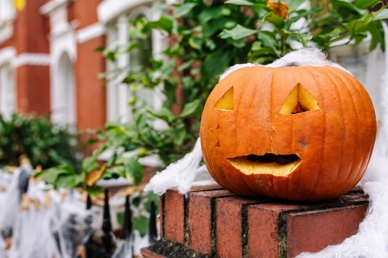 A carved Halloween pumpkin and fake cobwebs share tips on how to get rid of spider webs.
